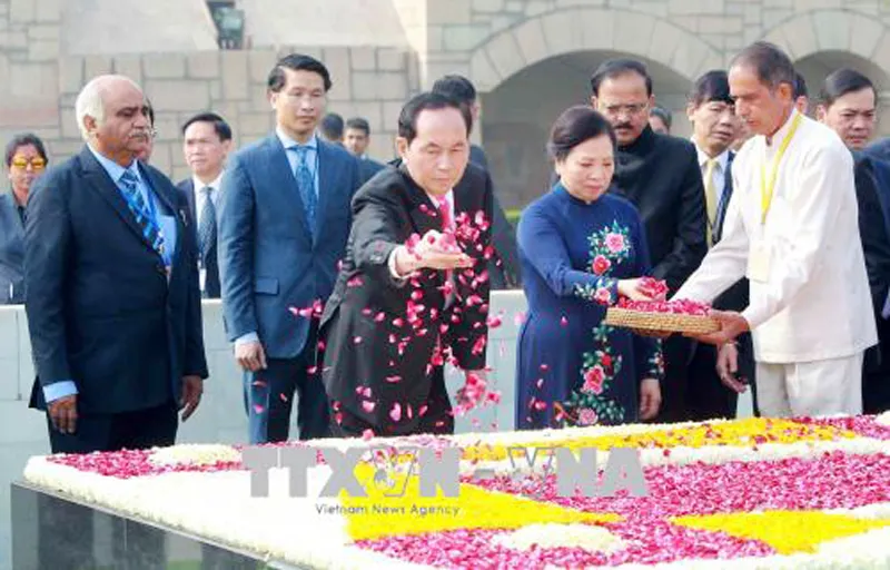 Chủ tịch nước Trần Đại Quang hội đàm với Thủ tướng Ấn Độ Narendra Modi ảnh 1