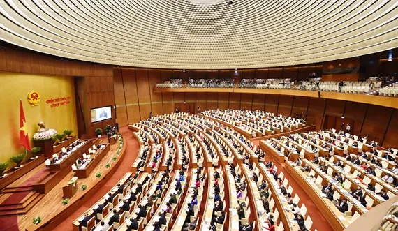 Thảo luận về sửa đổi, bổ sung Luật Giáo dục, Luật Phòng, chống tham nhũng (sửa đổi)