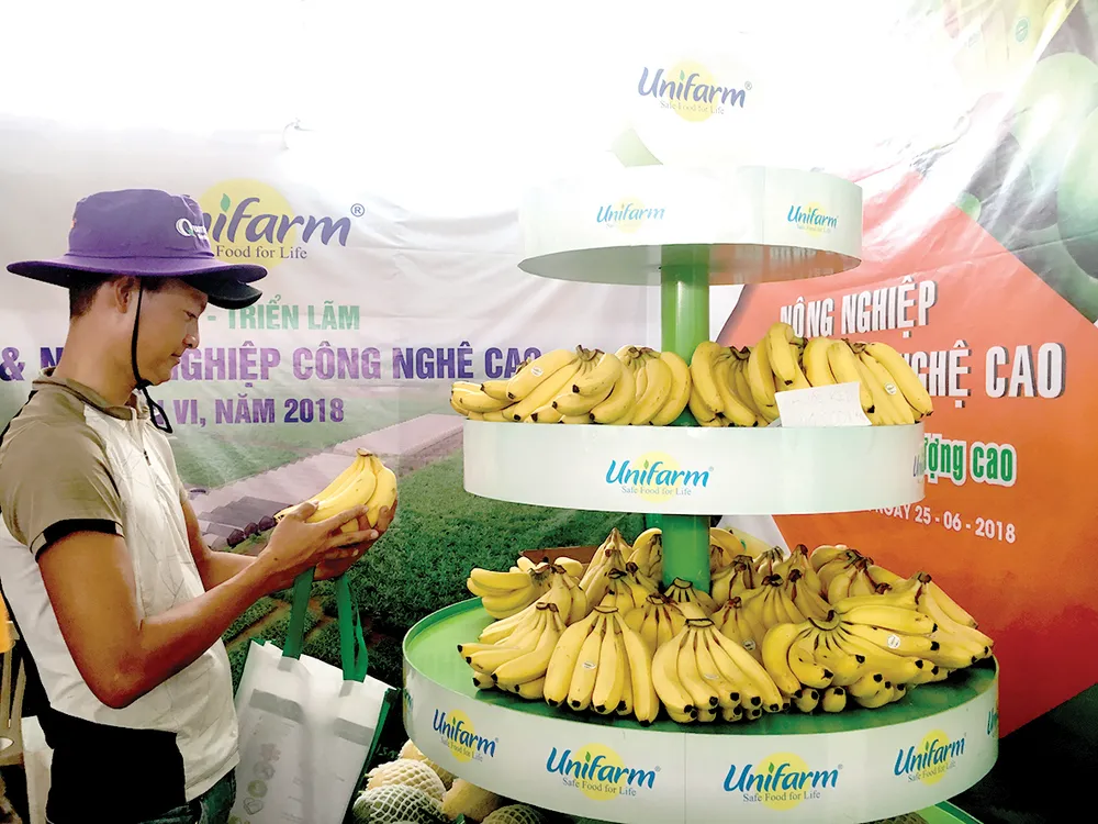 Nhiều giống mới, chất lượng cao ảnh 2