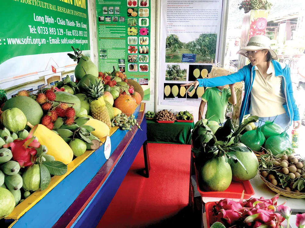 Nhiều giống mới, chất lượng cao ảnh 1