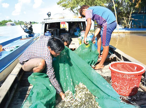 Mưu sinh đầu lũ ảnh 4