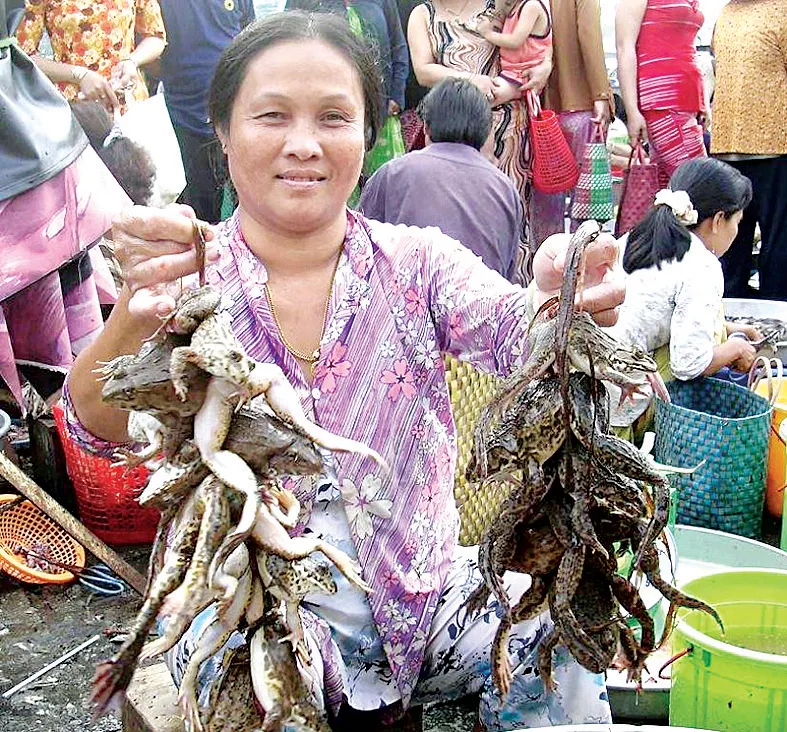 Mưu sinh đầu lũ ảnh 5