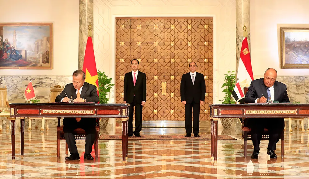 Việt Nam - Ai Cập phấn đấu đưa kim ngạch thương mại song phương lên 1 tỷ USD ảnh 1