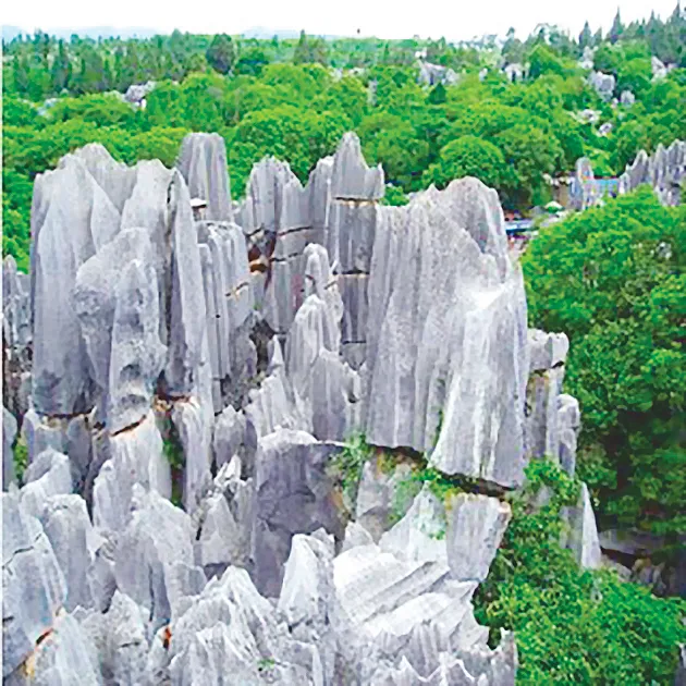 Phục hồi hệ sinh thái giúp giảm lượng carbon