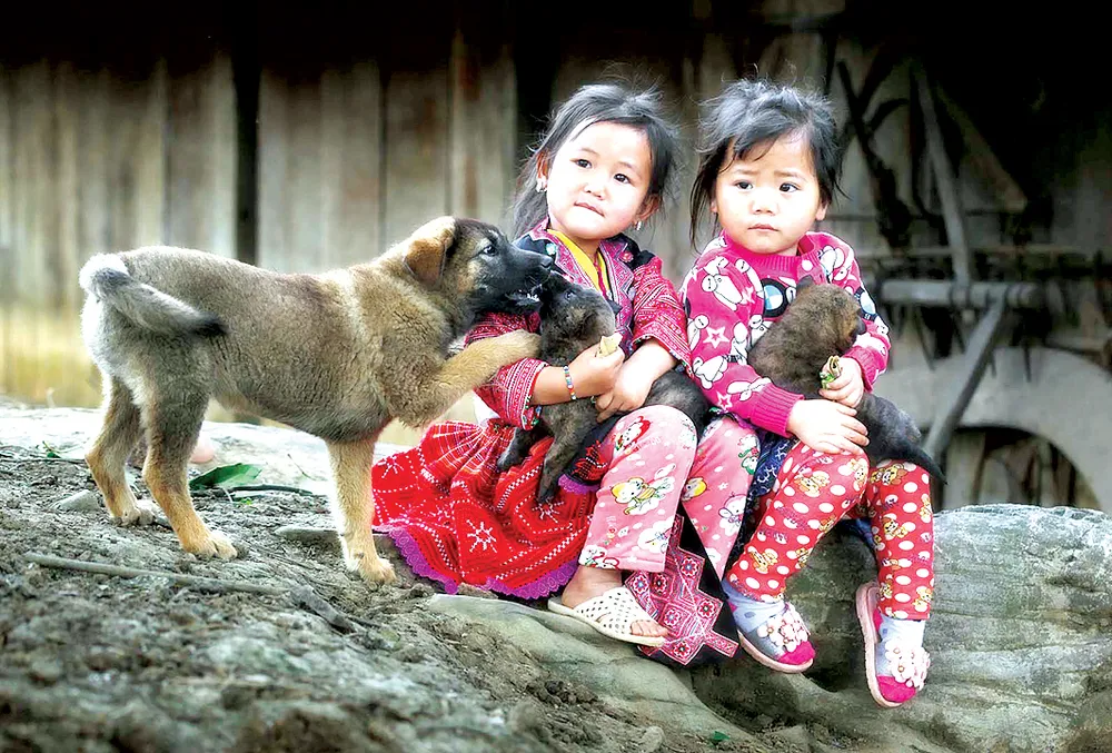 Lung linh Việt Nam ảnh 4