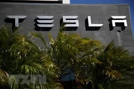Tesla bị kiện vì lạm dụng người lao động nước ngoài