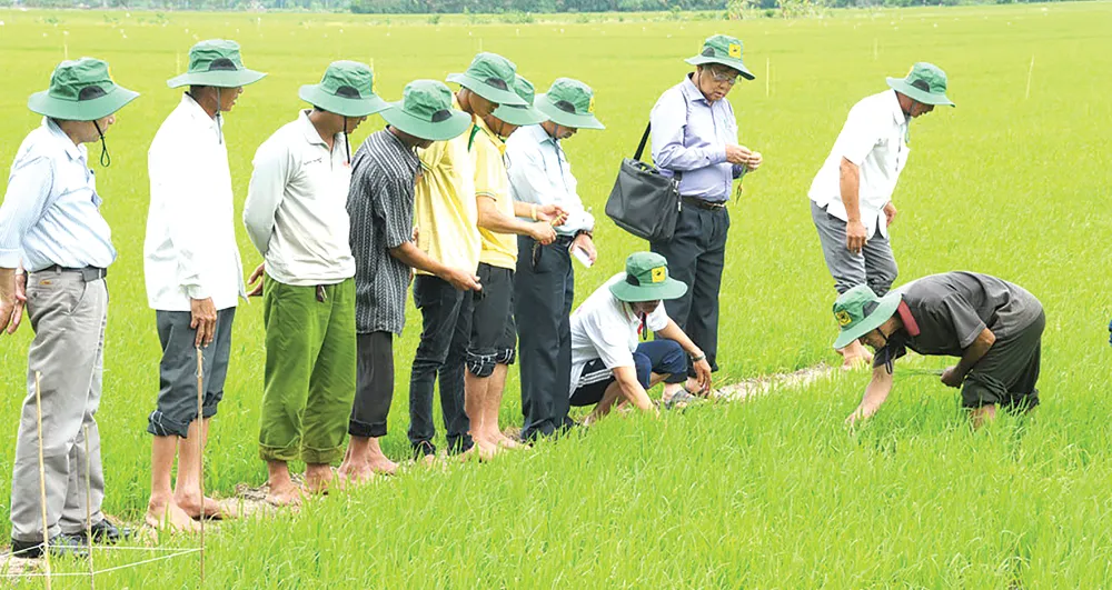 Chương trình “Đồng hành và chia sẻ”: Bạn của nhà nông ảnh 1