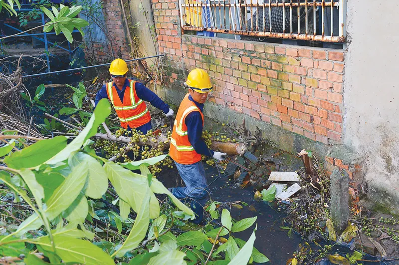 Rác - dọn một, xả mười!  ảnh 8