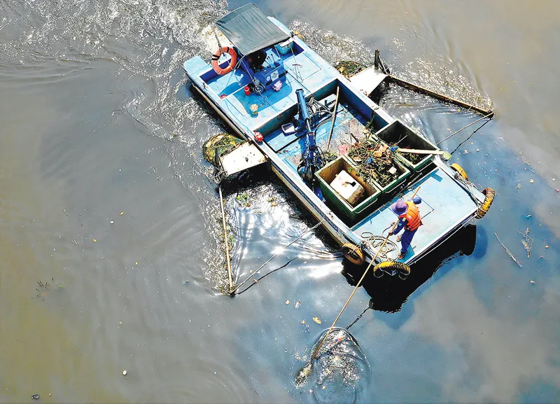 Rác - dọn một, xả mười!  ảnh 10