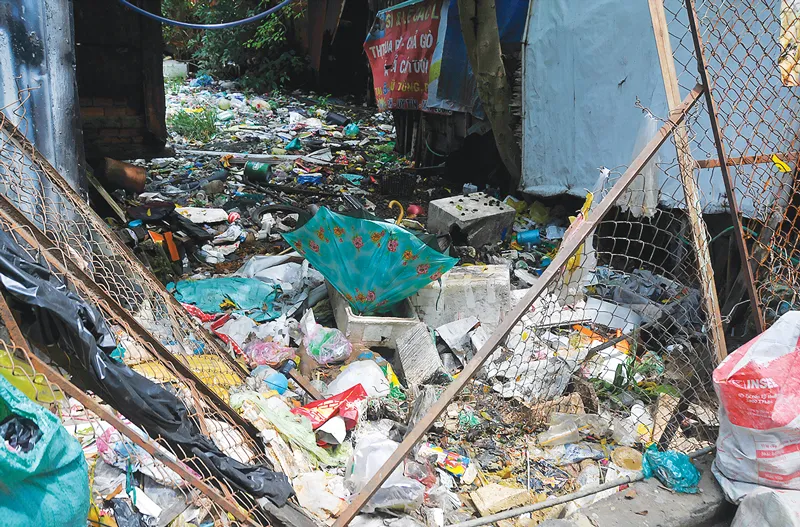 Rác - dọn một, xả mười!  ảnh 7