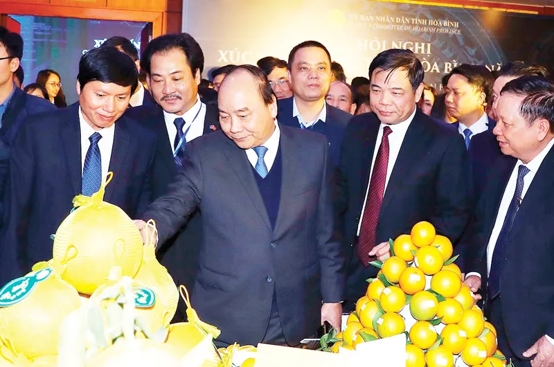 Thủ tướng Nguyễn Xuân Phúc thăm các gian trưng bày đặc sản của tỉnh Hòa Bình. Ảnh: TTXVN