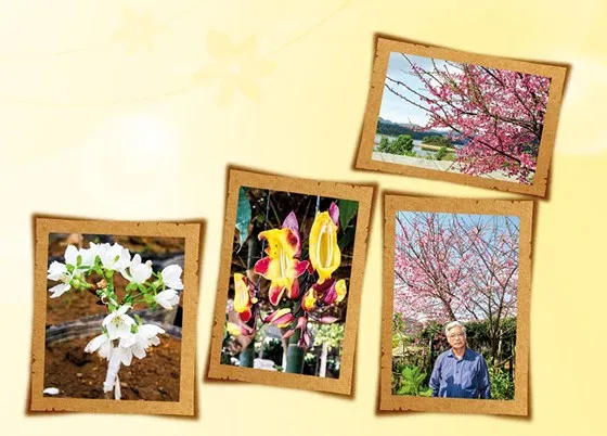 Đảo Đào Hoa Tây Bắc ảnh 1