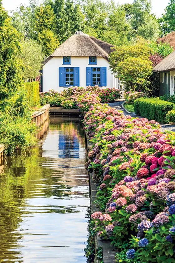 Hài hòa với thiên nhiên ảnh 2