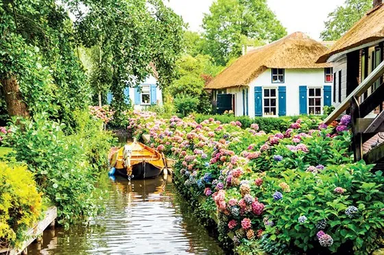 Hài hòa với thiên nhiên ảnh 6