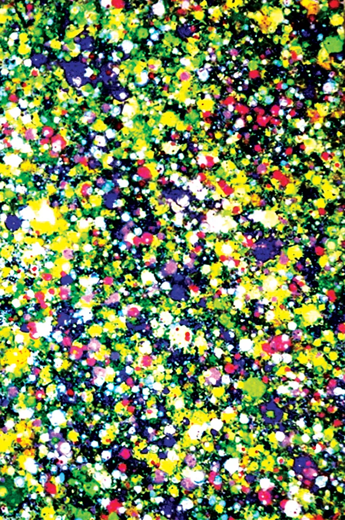 Tranh Mơ xuân 1 của Liêu Nguyễn Hướng Dương