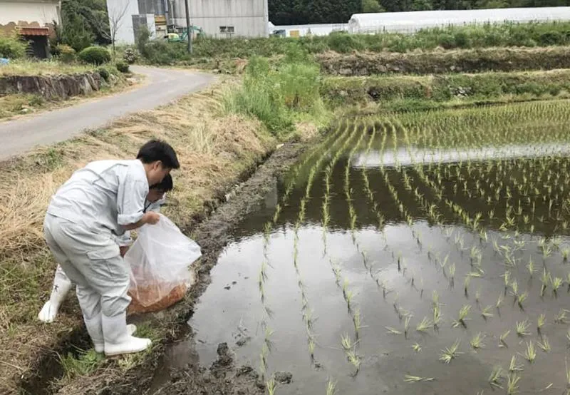 Tuổi nhỏ làm việc ý nghĩa ảnh 1