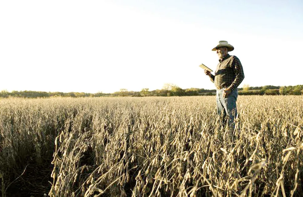 Nông dân Mỹ bị ảnh hưởng lớn bởi lệnh cấm Huawei. Ảnh: Asia Times