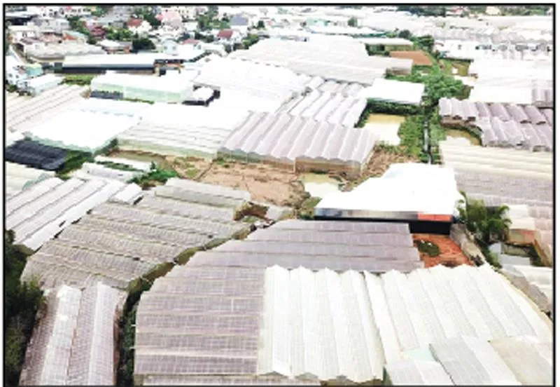 Phú Quốc, Đà Lạt ngập nặng: Hậu quả của phát triển nóng ảnh 2