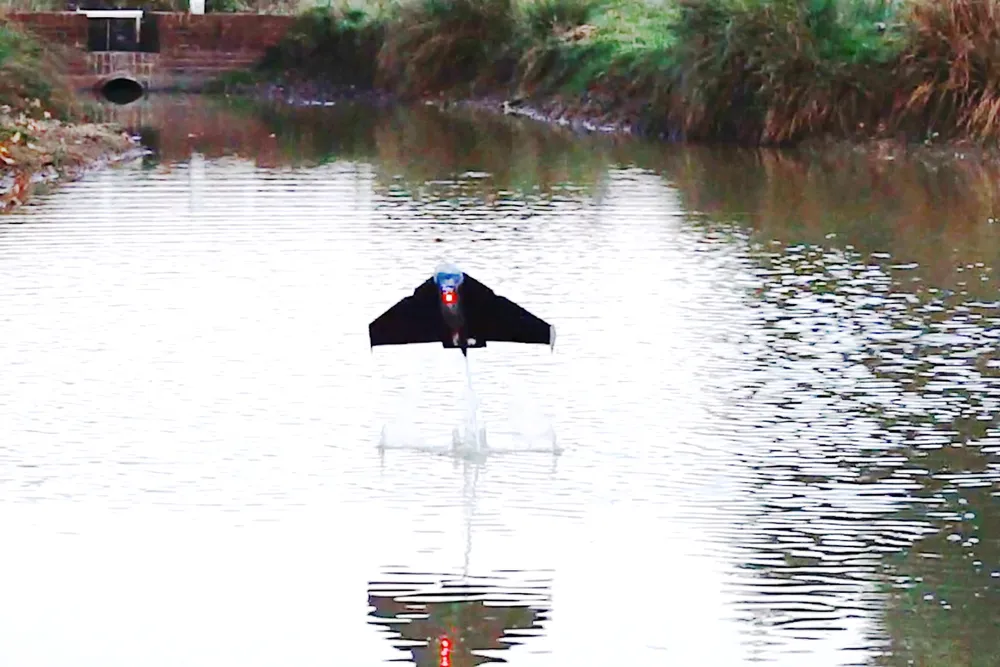 Robot cá bay phục vụ nghiên cứu môi trường