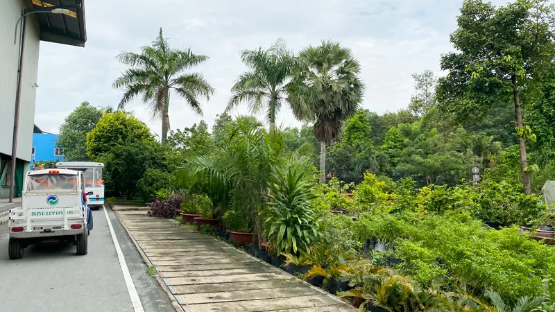 Huyện Bình Chánh: Giữ gìn vệ sinh môi trường và phòng ngừa bệnh sốt xuất huyết, bệnh dịch hạch ảnh 6