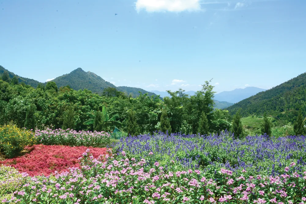 Ngoạn cảnh miền biên viễn Bình Liêu ảnh 2