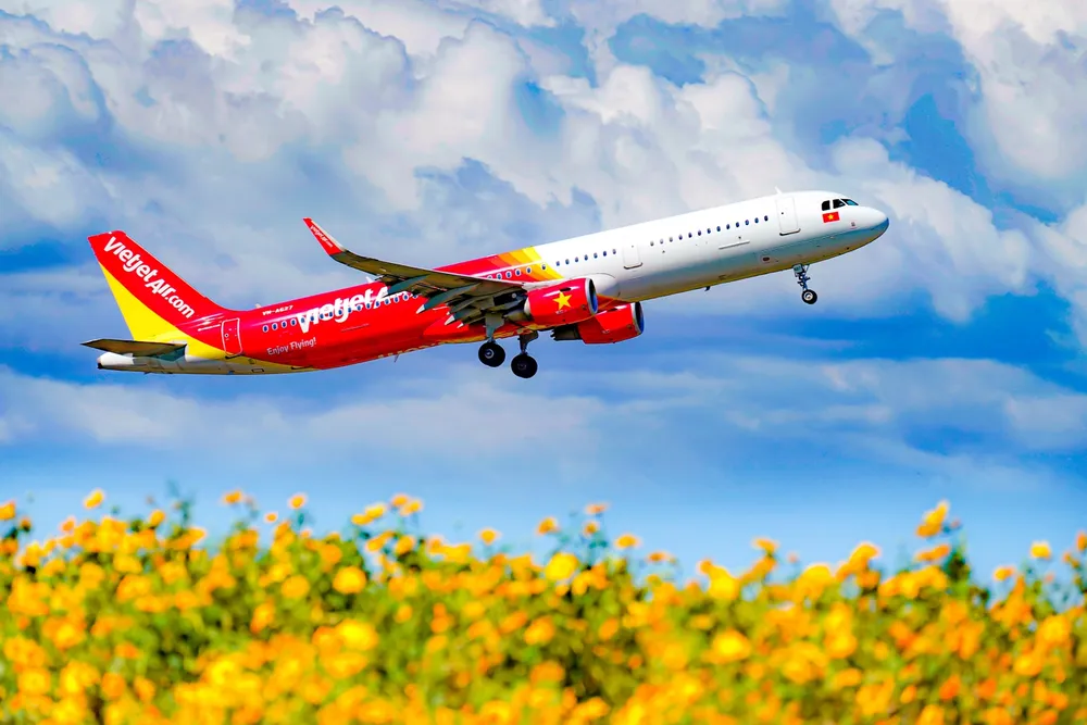Vận chuyển mai, đào sớm nhất dịp Tết Tân Sửu 2021 cùng Vietjet ảnh 1