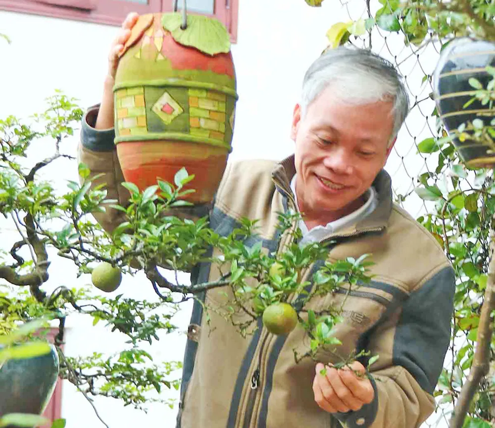 Kỳ vọng cây độc lạ đón tết ảnh 1