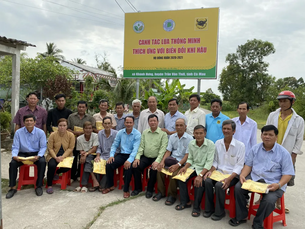 Nông dân Cà Mau thắng lớn nhờ mô hình “canh tác lúa thông minh” ảnh 1