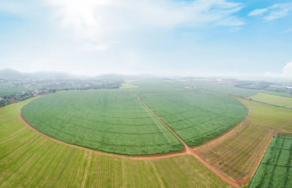 TH true MILK đạt giải Vàng Chất lượng quốc gia 2019 - 2020 ảnh 4