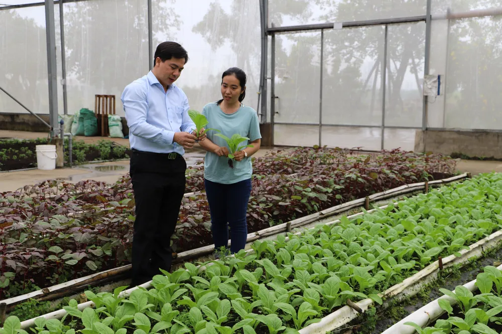 Phát triển huyện Nhà Bè thành khu đô thị kết hợp với nông nghiệp công nghệ cao ảnh 1