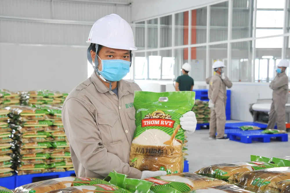 Tìm đường tiêu thụ hàng triệu tấn lúa ở ĐBSCL ảnh 1