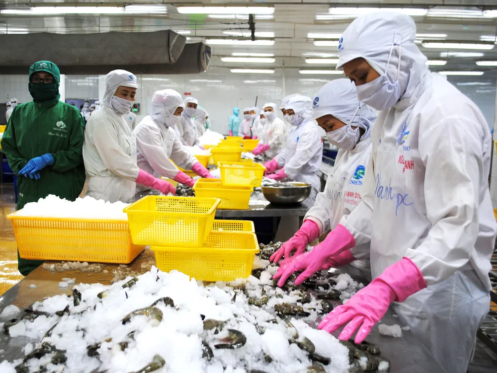 Gỡ vướng cho xuất khẩu nông sản ảnh 1