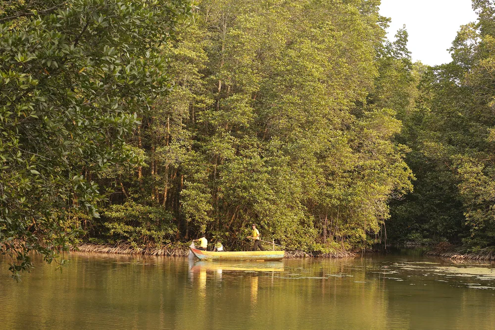 Tour tri ân đầu tiên dành cho lực lượng y tế tuyến đầu phòng, chống dịch Covid-19 tại TPHCM ảnh 1