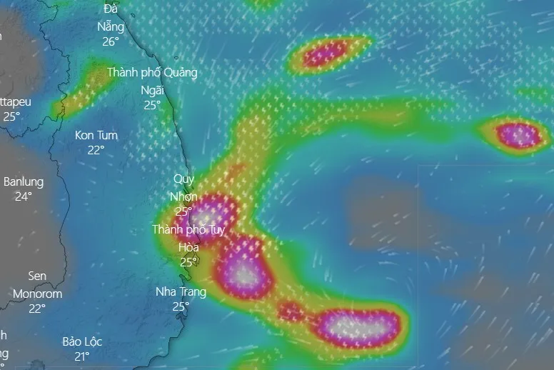Áp thấp nhiệt đới di chuyển theo hướng Tây Tây Bắc, các tỉnh miền Trung có mưa to đến rất to ảnh 2