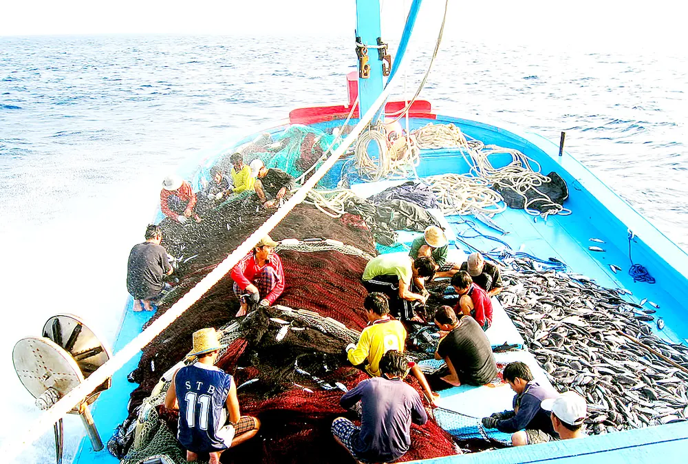 Khai thác thủy sản bền vững, chuyên nghiệp - Làm đúng để đi xa: “Thẻ xanh” ngay tầm mắt, nhưng... ảnh 2