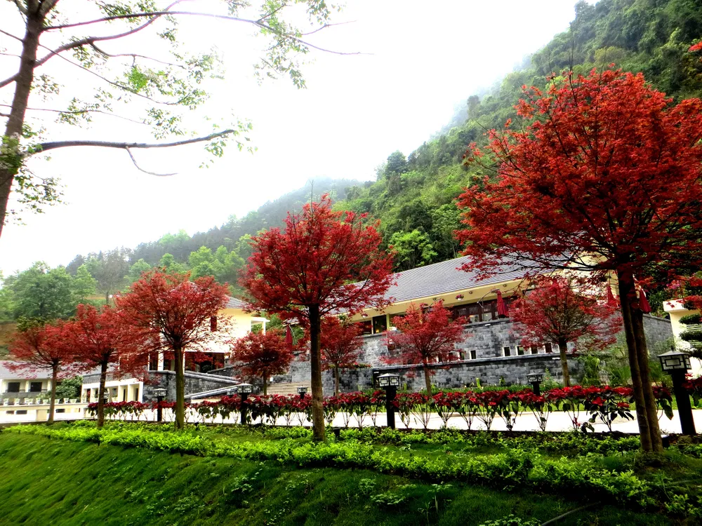 Khuyến mãi lớn phòng ngủ cao cấp Quý IV-2021 tại hệ thống Saigontourist Group ảnh 8