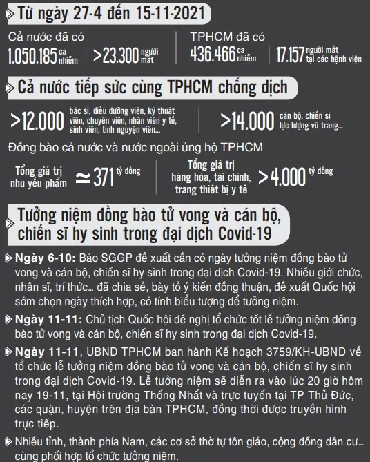 20 giờ tối nay, tưởng niệm đồng bào tử vong và cán bộ, chiến sĩ hy sinh do đại dịch Covid-19  ảnh 1
