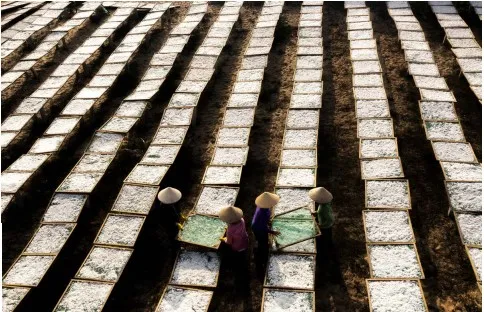 Thú vị nghề đánh lưới vây ảnh 7