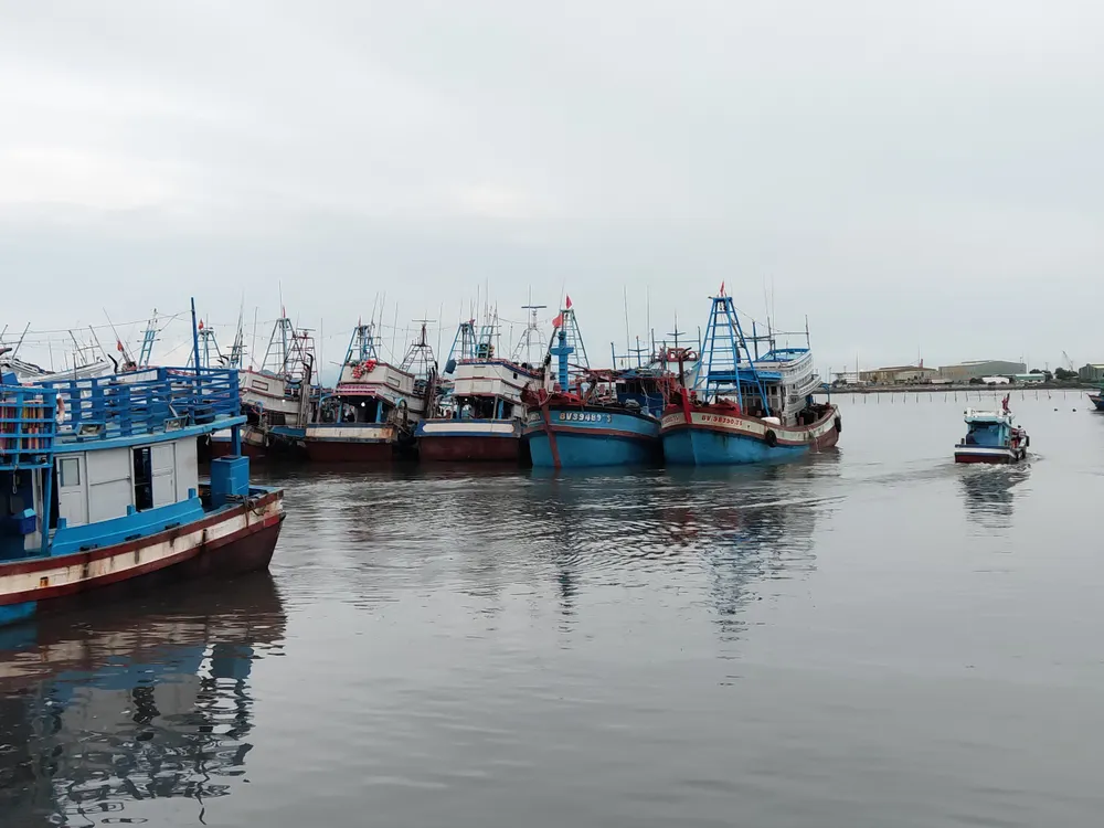 Bà Rịa - Vũng Tàu: Phát triển nông nghiệp công nghệ cao theo hướng bền vững ảnh 5