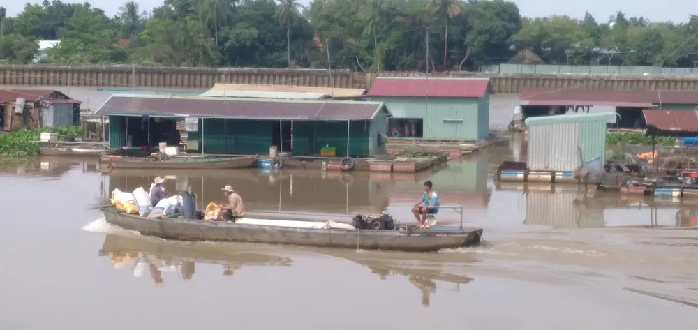 Bình yên làng cá Tân Mai ảnh 1