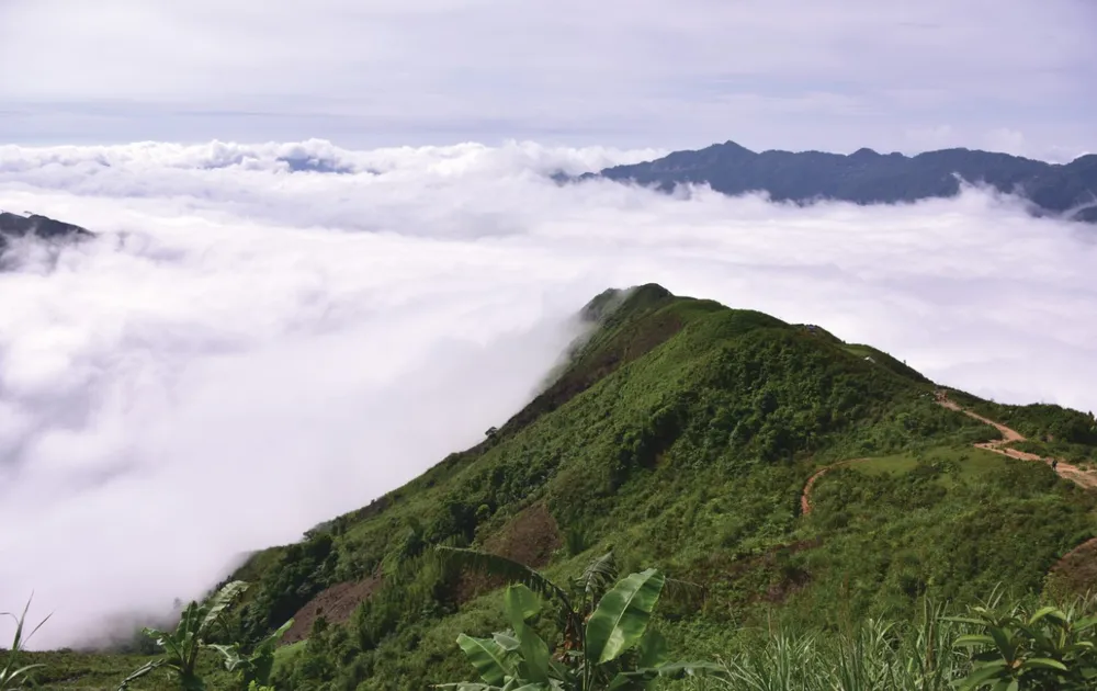 Tản mạn chuyện mây trà ngày xuân ảnh 1