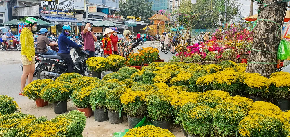 Đường phố ngập tràn sắc màu ngày tết ảnh 1