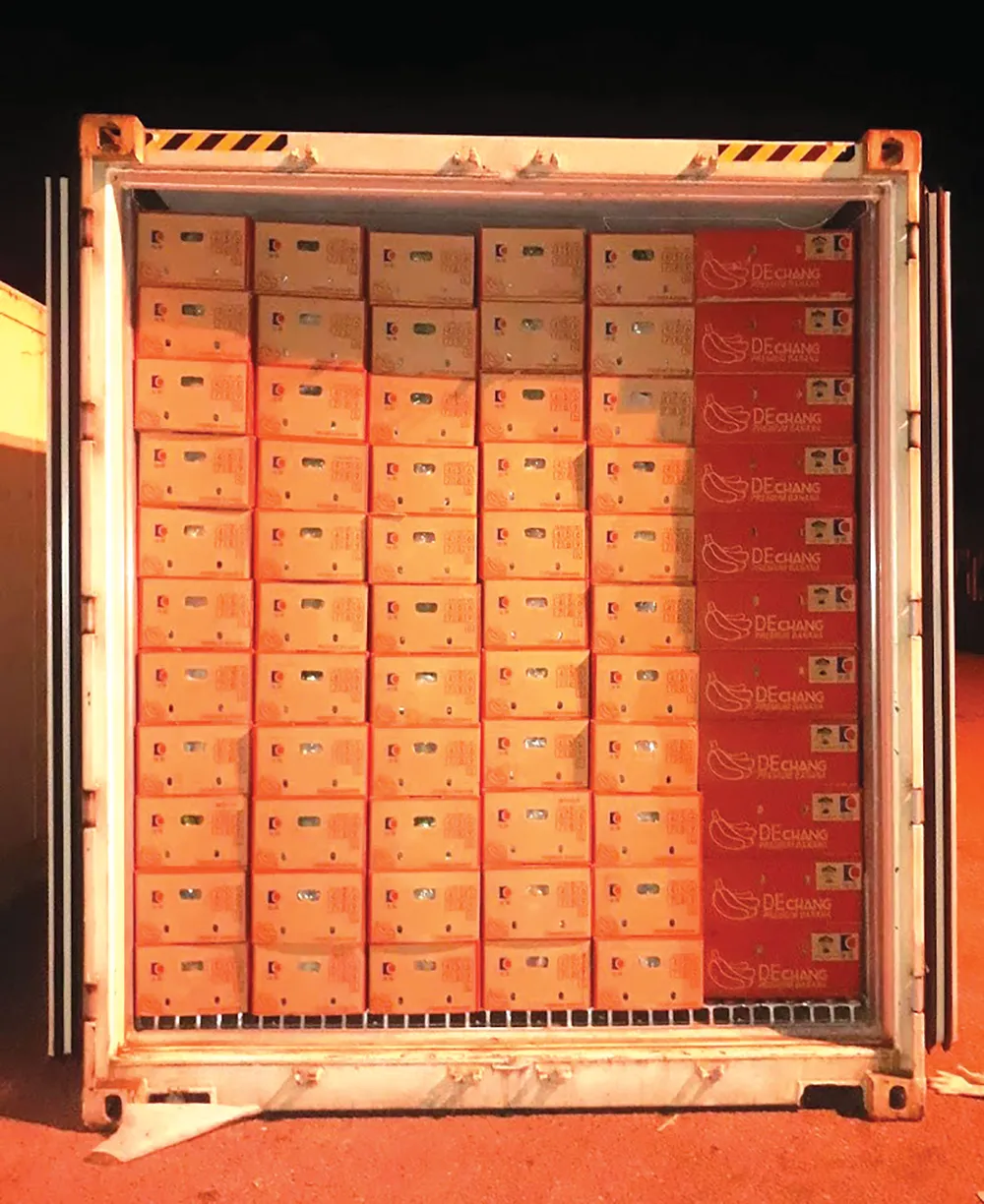 Giải pháp logistics qua cửa khẩu quốc tế Nam Giang cho doanh nghiệp Việt, Lào ảnh 4