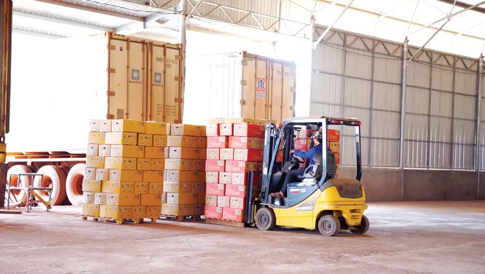 Giải pháp logistics qua cửa khẩu quốc tế Nam Giang cho doanh nghiệp Việt, Lào ảnh 3