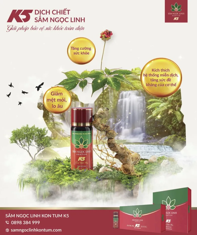 K5 - Dịch chiết Sâm Ngọc Linh: Đồng hành cùng sĩ tử vượt vũ môn hóa rồng ảnh 2