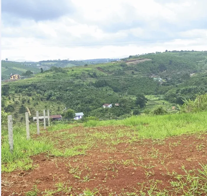 Sang đất Bảo Lộc - Lâm Đồng