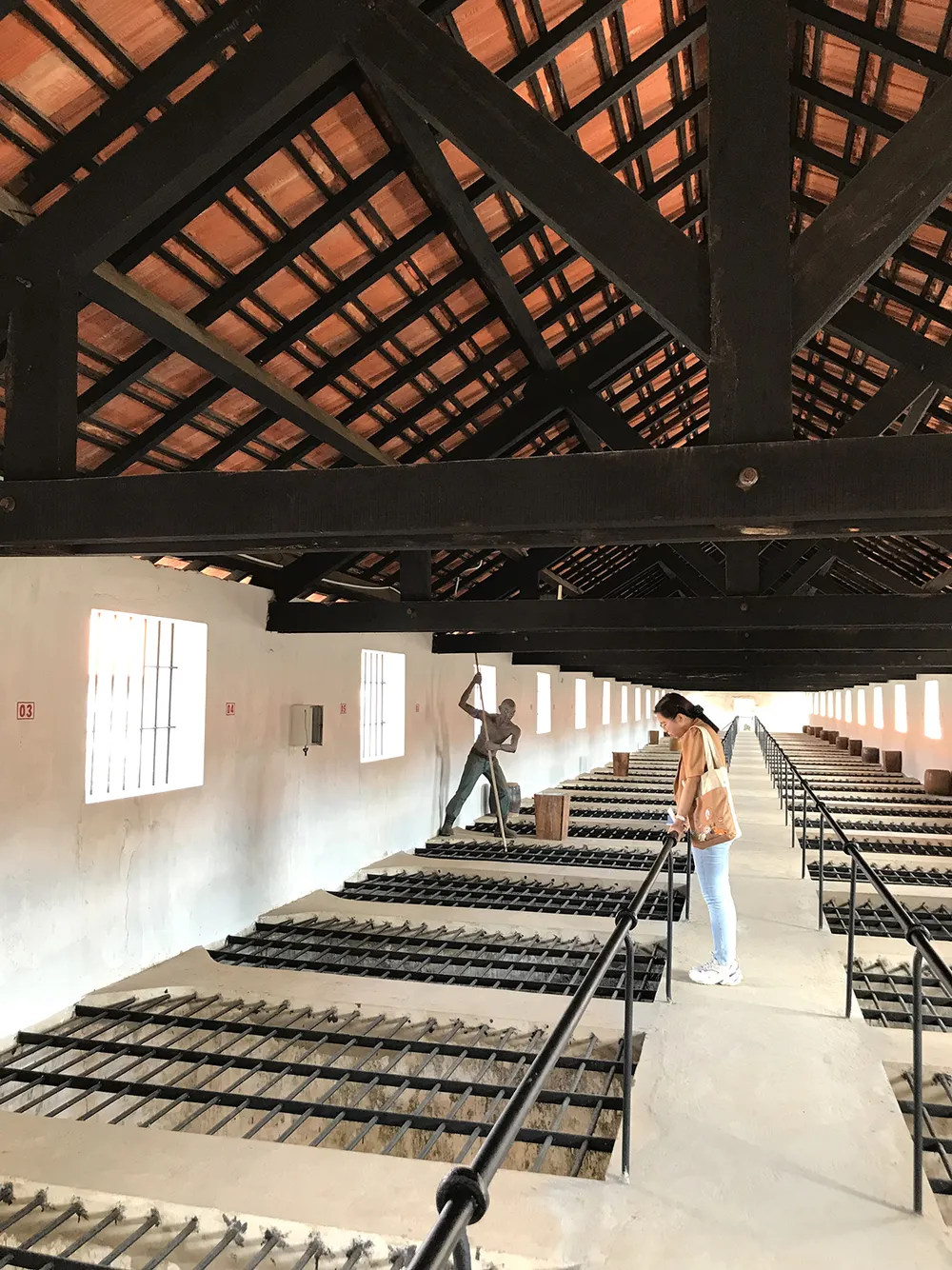 Nghĩa trang Hàng Dương những ngày phượng đỏ ảnh 1