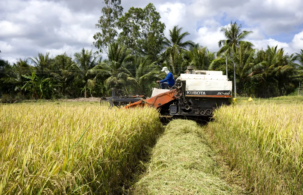 Nâng tầm nông sản Việt ảnh 2
