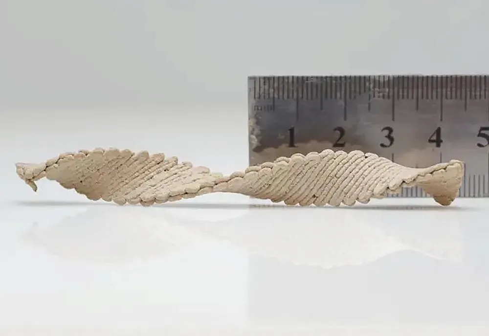Mô hình 3D có hình dạng xoắn ốc