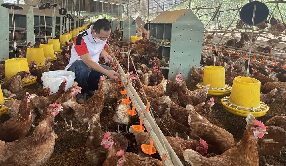 Ngày Doanh nhân Việt Nam 13-10 - Khẳng định vị thế, bản sắc doanh nghiệp, doanh nhân Việt: Thế hệ doanh nhân có tâm, tầm ảnh 1